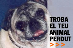 Buscador de animales perdidos - Diputación de Barcelona