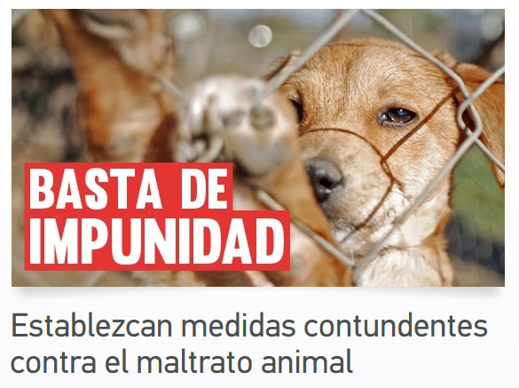 www.gatscampus.org - Signatures per la defensa del animals