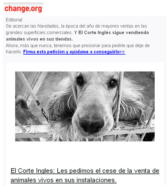 www.gatscampus.org - Signatures per la defensa del animals