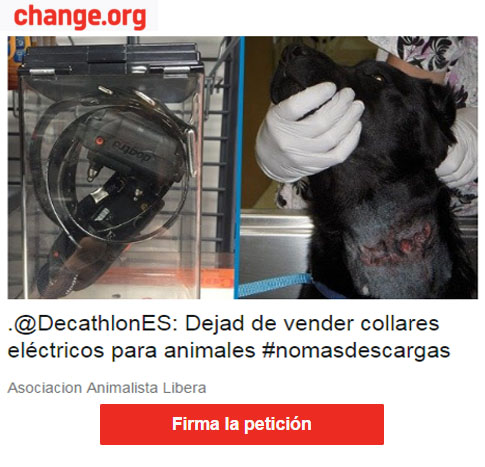 www.gatscampus.org - Signatures per la defensa del animals