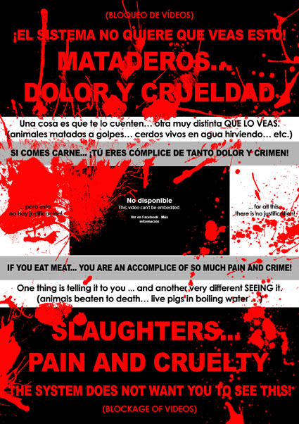 MATADEROS... DOLOR Y CRUELDAD - SLAUGHTERS... PAIN AND CRUELTY