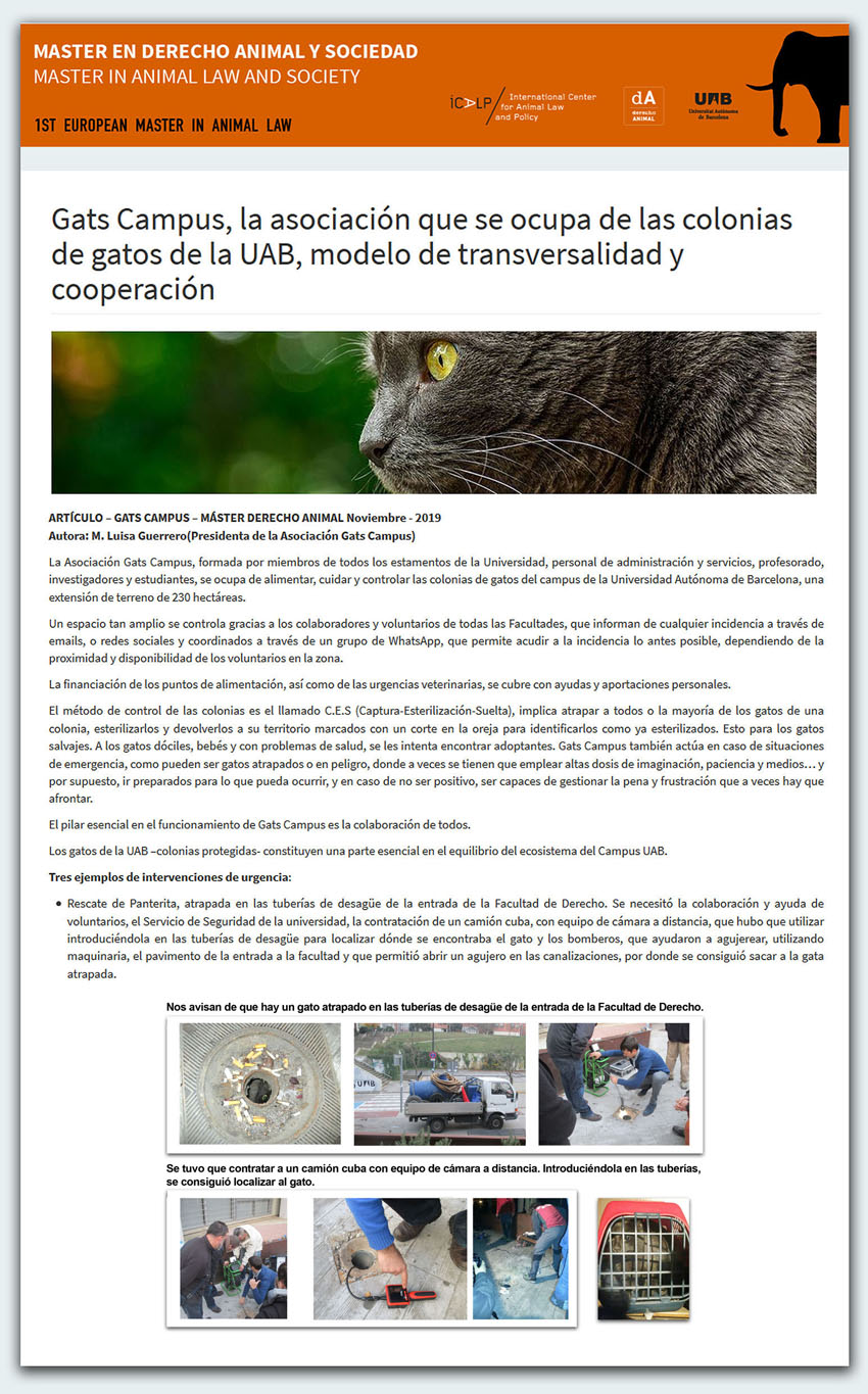 ARTICULO - Máster Derecho Animal UAB - Gats Campus, la asociación que se ocupa de las colonias de gatos de la UAB, modelo de transversalidad y cooperación.