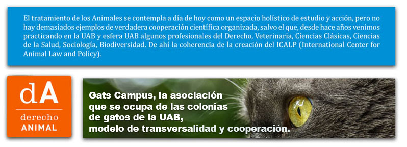 ARTICULO - Máster Derecho Animal UAB - Gats Campus, la asociación que se ocupa de las colonias de gatos de la UAB, modelo de transversalidad y cooperación.